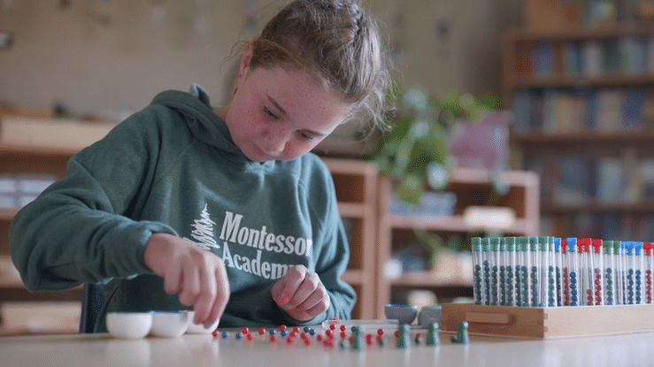 A girl with light brown hair in a pony tail and a green sweatshirt that says Montessori Academy works with red and green beads. She works on a brown desk and has a wooden box with test tubes standing up in it.